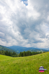 2025-08-23 KTRE 2025_134449_20250823-8124